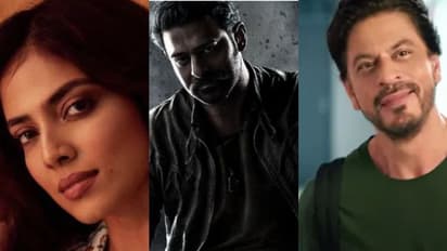 ഡങ്കിയോ സലാറോ? മാളവിക മോഹനൻ പറഞ്ഞതു കേട്ട് രണ്ട് തട്ടിലായി ആരാധകര്