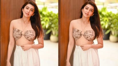 ಬಾಲಿವುಡ್ ತಾರೆಯರ ಜೊತೆ ನವರಾತ್ರಿ ಪೂಜೆಯಲ್ಲಿ ಭಾಗಿಯಾದ ನಟಿ ಪ್ರಣೀತಾ ಸುಭಾಷ್