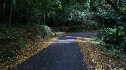 'കൊടുംവനത്തിലൂടെ കുംഭാവുരുട്ടിയിലേക്ക്, നിരക്ക് തുച്ഛം'; യാത്രാസംവിധാനമൊരുക്കി കെഎസ്ആര്ടിസി