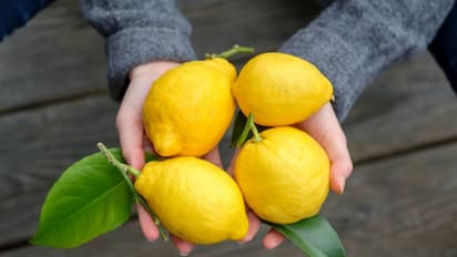 നാരങ്ങയോടൊപ്പം ഈ അഞ്ച് ഭക്ഷണങ്ങള് കഴിക്കരുതേ...