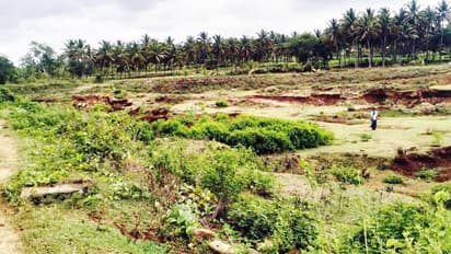 Mandya : ಮುಂಗಾರು ಮಳೆ ಕುಸಿತ : ಬರಿದಾದ ಕೆರೆಗಳು..!