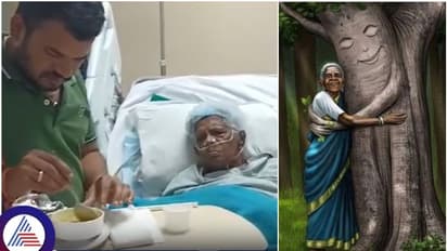 ಸಾಲು ಮರದ ತಿಮ್ಮಕ್ಕ ಆರೋಗ್ಯವಾಗಿದ್ದಾರೆ, ಊಹಾಪೋಹಗಳಿಗೆ ತೆರೆ ಎಳೆದ ದತ್ತುಪುತ್ರ ಉಮೇಶ್‌!