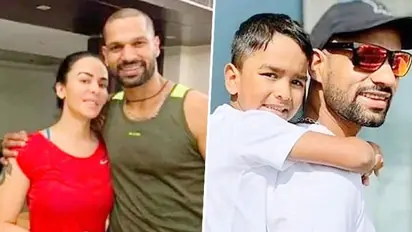 Cricketer Shikhar Dhawan granted divorce on grounds of cruelty by estranged wife
