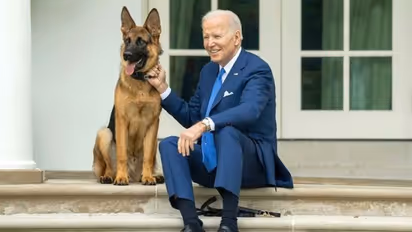 'My memory is fine; hasn't gotten worse...' US President Joe Biden fumes over special counsel's report (WATCH)