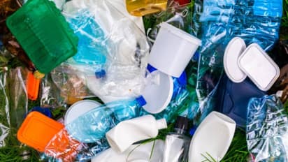 UAE: Plastic bags to be banned in THIS emirate from January 2024; Check