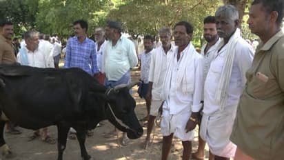 ಬರಗಾಲದ ಎಫೆಕ್ಟ್: ಜಾನುವಾರುಗಳಿಗೆ ಮೇವಿಲ್ಲದೆ ಅನ್ನದಾತ ಕಂಗಾಲು, ಬಂದಷ್ಟು ಹಣಕ್ಕೆ ಹಸುಗಳ ಮಾರಾಟ..!