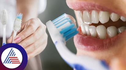 ಬೇರೆಯವರ ಬ್ರಷ್ ಬಳಸಿದರೆ ಏನೇನು ರೋಗ ಬರಬಹುದು ಐಡಿಯಾ ಇದೆಯಾ?