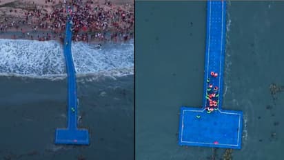 ഇത് കൊള്ളാല്ലോ സാധനം! ഫ്ലോട്ടിങ് ബ്രിഡ്ജിൽ അപ്രതീക്ഷിത അതിഥികൾ, വാരിക്കൂട്ടി കവറിലാക്കി സന്ദര്ശകർ, വീഡിയോ