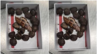 വിമാനത്താവളത്തില്‍ പരിശോധനക്കിടെ യുവതിയുടെ കൈവശമുള്ള പെട്ടി തുറന്നപ്പോള്‍ അമ്പരന്ന് അധികൃതര്‍; വിചിത്ര കാരണവും