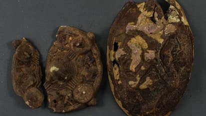 കാണാതെ പോയ ആഭരണം തപ്പുന്നതിനിടെ കയ്യില് തടഞ്ഞത് നിധി!