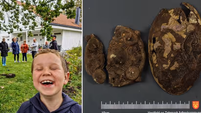 Shocking! Norwegian family discovers Viking-era artefacts while searching for lost earring in garden