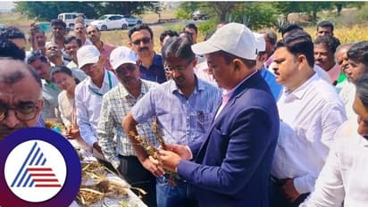 ವಿಜಯನಗರ: ಜಿಲ್ಲೆಗೆ ಕೇಂದ್ರ ಬರ ಅಧ್ಯಯನ ತಂಡ ಭೇಟಿ, ಬೆಳೆ ವೀಕ್ಷಣೆ