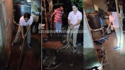 വീണ്ടും കൂറ്റൻ പെരുമ്പാമ്പിനെ വലിച്ചെടുത്ത് ചാക്കിലാക്കി വനിതാ ബീറ്റ് ഫോറസ്റ്റ് ഓഫീസർ റോഷ്‌നി