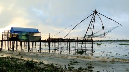 'സർക്കാരിനെ വിശ്വസിച്ചു, ചീനവലകള് പുതുക്കിപ്പണിതു'; പണി കിട്ടിയത് മത്സ്യത്തൊഴിലാളികൾക്ക്, ഫലം കടക്കെണി...