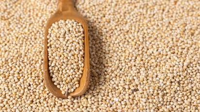 Meet Raimati Ghiuria, Odisha’s Queen of Millets