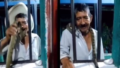 വായിലേക്ക് പാമ്പിനെ കടത്തുന്ന മനുഷ്യൻ; വീഡിയോയ്ക്ക് താഴെയുള്ള കമന്റ്സ് നോക്കൂ...