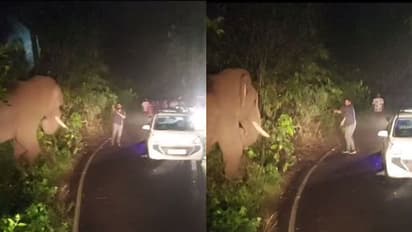 കലിപ്പിൽ റോഡിലിറങ്ങിയ 'കബാലി'യോട് പരാക്രമം കാട്ടിയ യുവാവിന് പണി കിട്ടി, സിസിടിവി കുടുക്കി, 10 ദിവസം റിമാൻഡിൽ