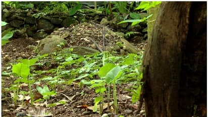 നമ്പര്‍ 1 കേരളം! ശവക്കുഴിക്ക് പോലും ഇടമില്ലാതെ കേരളത്തിലെ പിന്നാക്കസമൂഹങ്ങൾ