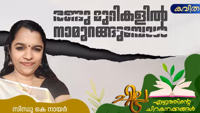 Malayalam Poem:  രണ്ടു മുറികളില്‍ നാമുറങ്ങുമ്പോള്‍, സിന്ധു കെ നായര്‍ എഴുതിയ കവിത