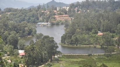 இஸ்ரேல் - பாலஸ்தீனம் போர்: கொடைக்கானலுக்கு என்ன சம்பந்தம்?