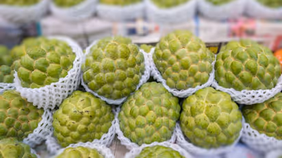 സീതപ്പഴം ഇഷ്ടമാണോ? കഴിക്കും മുമ്പറിയാം ഇക്കാര്യങ്ങള്...