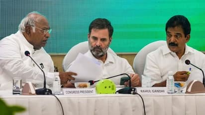 राहुल गांधी का जातीय जनगणना पर बड़ा ऐलान: कांग्रेस शासित प्रदेशों-जहां सरकार बनेगी, वहां कराएंगे Caste Census