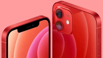 iPhone tips: Here's how you can remove photo background & isolate subject