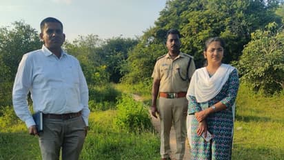 ಯಾದಗಿರಿ ಶ್ರೀಗಂಧ ಕಳವು: ಆರೋಪಿಗಳ ಸುಳಿವು?