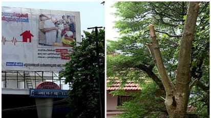 സ്കൂൾ കോമ്പൗണ്ടിൽ അതിക്രമിച്ച് കയറി മരക്കൊമ്പ് വെട്ടി; പ്രധാനാധ്യാപകന്റെ പരാതിയിൽ കേസ് 