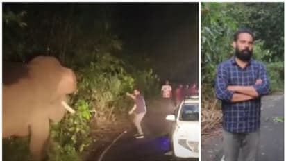 കബാലിയെ പ്രകോപിപ്പിച്ച് യുവാവ്, ആന പാഞ്ഞടുത്തപ്പോള് ഓടി മാറി; അതിരപ്പള്ളിയിലെ സാഹസത്തിന് ഒടുവില് ജയിലിലായി