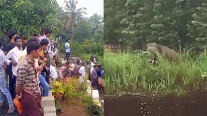 കണ്ണൂര്‍ ഉളിക്കലില്‍ കാട്ടാനയിറങ്ങി; ജാഗ്രതാ നിര്‍ദേശം, സ്കൂളുകള്‍ക്ക് അവധി