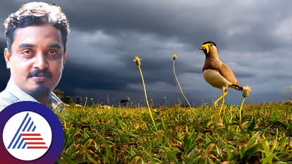 ವಿದೇಶಗಳಿಗೆ ಹಾರಿದ ಕನ್ನಡ 'ನೆಲದ ಹಕ್ಕಿಯ ಹಾಡು' ಸಾಕ್ಷ್ಯಚಿತ್ರ