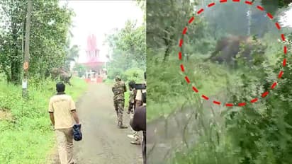 ഉളിക്കലിനെ വിറപ്പിച്ച് കാട്ടാന, പടക്കം പൊട്ടിച്ച് തുരത്താന് ശ്രമം, ഭയന്നോടിയ നിരവധിപേര്ക്ക് പരിക്ക്