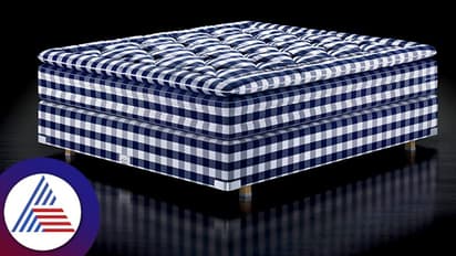 5 ಕೋಟಿ ಬೆಲೆ ಬಾಳೋ ಇಂಥ ಹಾಸಿಗೆ ಮೇಲೆಯೇ ಸೆಲೆಬ್ರಿಟಿಗಳು ಮಲಗೋದು!