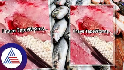 ವೀಡಿಯೋ ವೈರಲ್ ಆಗ್ಬೇಕು ಅಂತ ಸೋಂಕಿರೋ ಮೀನು ತಿಂದವನ ಪಾಡು ಹೀಗಾಗಬೇಕಾ?