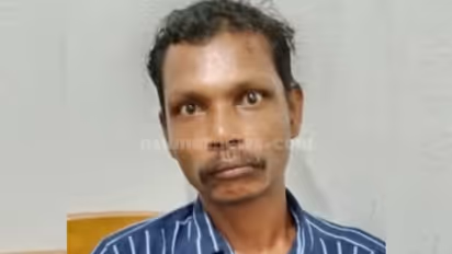 മൂന്നര വയസുകാരിയെ ലൈംഗികമായി പീഡിപ്പിച്ച പ്രതിക്ക് 100 വർഷം കഠിനതടവ് ശിക്ഷ