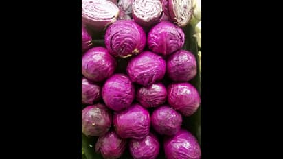 ఈ కలర్ క్యాబేజీని తింటే ఎన్ని రోగాల ముప్పు తప్పుతుందో తెలుసా? 