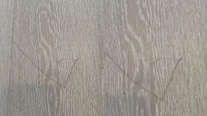 തറയില് ചെറിയൊരു പോറല്, വാടകക്കാരനോട് വന്തുക നഷ്ടപരിഹാരം ആവശ്യപ്പെട്ട് വീട്ടുടമസ്ഥൻ