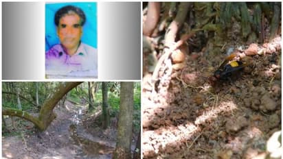 തൊഴിലുറപ്പ് പണിക്കിടെ 7 പേര്ക്ക് കടന്നൽ കുത്തേറ്റു, ഒരാള് മരിച്ചു