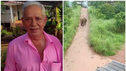 ജോസിന്റെ മരണം ആനയുടെ ചവിട്ടേറ്റ് തന്നെ; സ്ഥിരീകരിച്ച് പോസ്റ്റുമോര്‍ട്ടം റിപ്പോര്‍ട്ട്