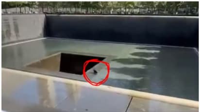 '9/11 സ്മാരക കുള'ത്തില്‍ ചാടിയ 33 കാരൻ അറസ്റ്റിൽ, ഞെട്ടിക്കുന്ന വീഡിയോ !