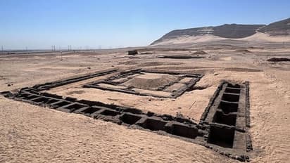 5000 വര്ഷം പഴക്കമുള്ള വൈൻ കണ്ടെത്തി; എവിടെ നിന്നാണെന്ന് അറിയാമോ?