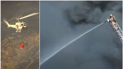 ഇപ്പോൾ കൊമ്പുകോർക്കുന്ന ഇതേ ഇസ്രയേലും പലസ്തീനും; ഒന്നിച്ച് ഒന്നായി ഒരു ലക്ഷ്യത്തോടെ കൈകോർത്ത ചരിത്രം!