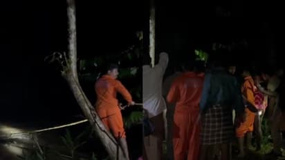 കനത്ത മഴ; കുളത്തുപ്പുഴ വനമേഖലയില് കുടുങ്ങിയവരെ രക്ഷപ്പെടുത്തി