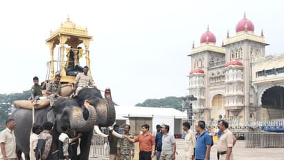 ಧನಂಜಯ ಆನೆಗೆ ಮರದ ಅಂಬಾರಿ ಹೊರಿಸಿ ತಾಲೀಮು