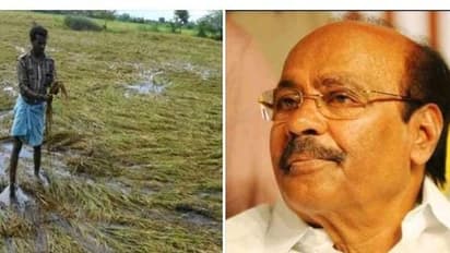 பயிர் கடனுக்காக பிரீமியம் செலுத்தியது ரூ.9484.... ஆனால் இழப்பீடோ வெறும் ரூ.10- சீறும் ராமதாஸ்