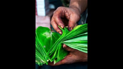ಫೈರ್ ಪಾನ್…. ಬಾಯಿಗೆ ಹಾಕಿದ್ರೂ ಸುಟ್ಟೋಗಲ್ಲ ಯಾಕೆ? 