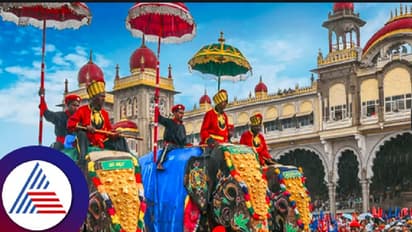 ಮೈಸೂರು ದಸರಾಕ್ಕೆ ಆರಂಭದಲ್ಲೇ ವಿಘ್ನ; ಇದ್ದಕ್ಕಿದ್ದಂತೆ ಮುರಿದುಬಿದ್ದ ವಿದ್ಯುತ್ ದೀಪಾಲಂಕಾರದ ಕಮಾನು!