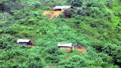 'കുരുമുളകും ഏലവും ബ്രാന്ഡ് ചെയ്യും'; ഇടമലക്കുടിയിലെ നൂറു കുടുംബങ്ങള്ക്ക് ഉപജീവനമൊരുക്കാന് കുടുംബശ്രീ