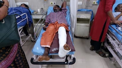 പുല്ല് വെട്ടുന്നതിനിടെ കാലിൽ മലമ്പാമ്പ് വരിഞ്ഞുമുറുക്കി, ഗുരുതര പരിക്കേറ്റ യുവാവ് രക്ഷപ്പെട്ടത് തലനാരിഴക്ക്!